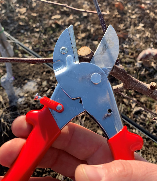 Секатор с наковальней GL006